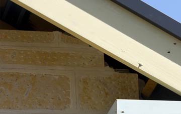 soffit repair Mottistone